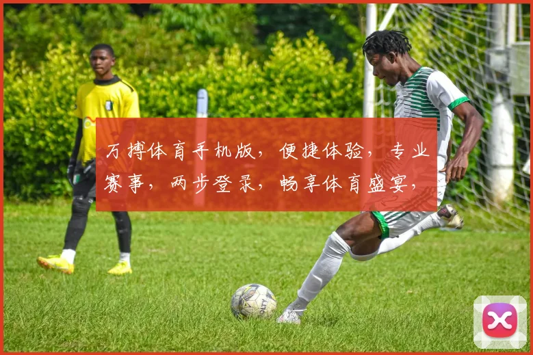 万搏体育手机版，便捷体验，专业赛事，两步登录，畅享体育盛宴，不容错过