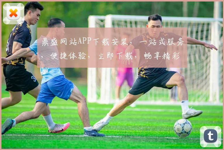 鼎盛网站APP下载安装，一站式服务，便捷体验，立即下载，畅享精彩