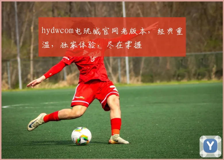 hydwcom电玩城官网老版本，经典重温，独家体验，尽在掌握