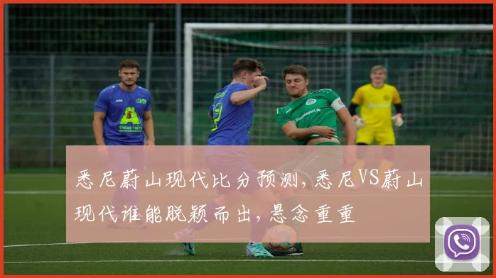 悉尼蔚山现代比分预测,悉尼VS蔚山现代谁能脱颖而出,悬念重重