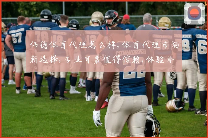 伟德体育代理怎么样,体育代理市场新选择,专业可靠值得信赖,体验非凡